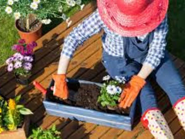 Jardin et décoration extérieure